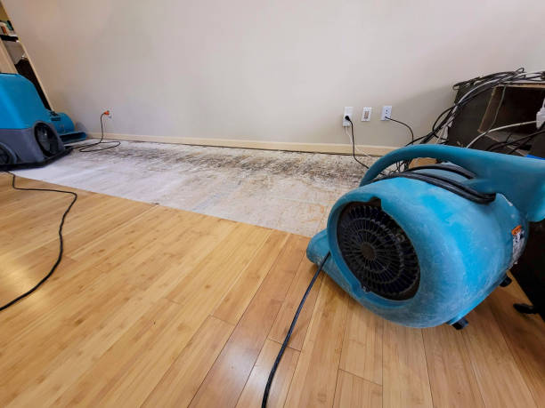 Professional Flood Damage Cleanup technician working in Glenolden, PA